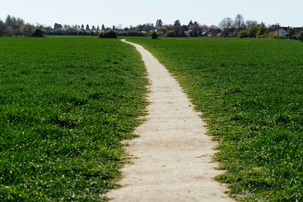 Schmaler Feldweg führt durch ein grünes Feld zum Ortsrand