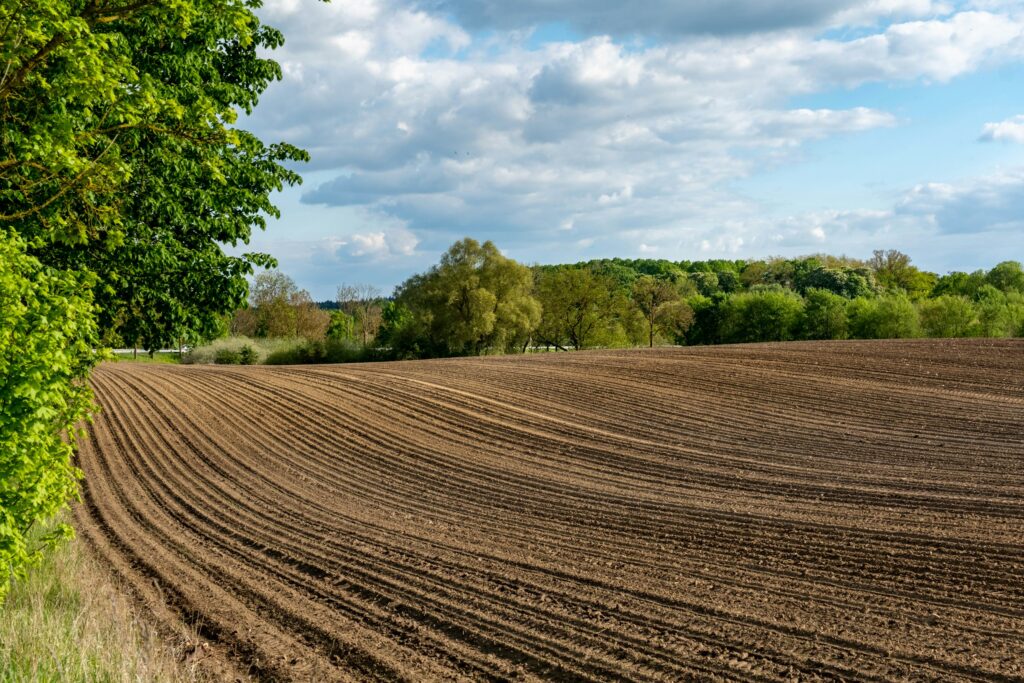 Frisch gepflügter Acker vor Baumreihe